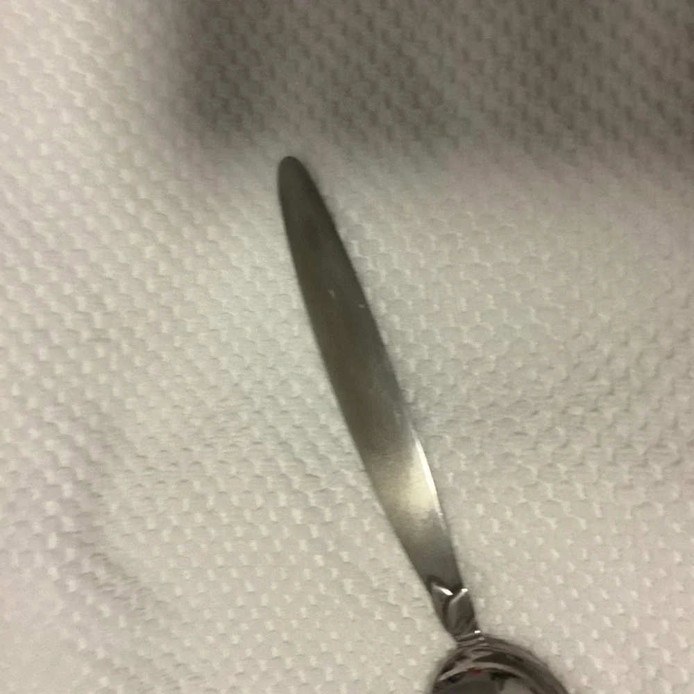 Pfaltzgraff Pistachio 18/0 Stainless Slotted Serving Spoon‎ Floral Pierced Bowl